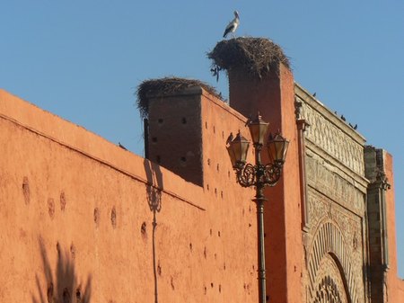 Bab Agnaou